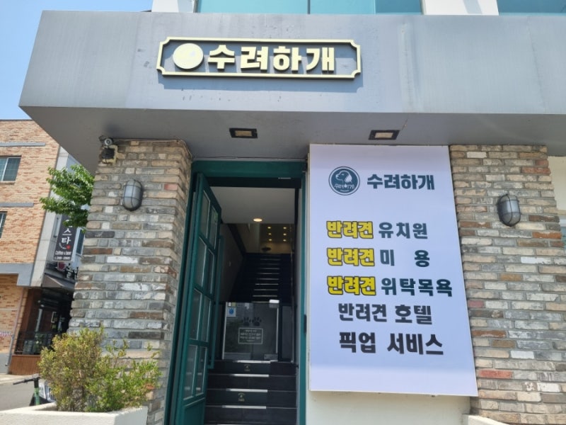 사진 2