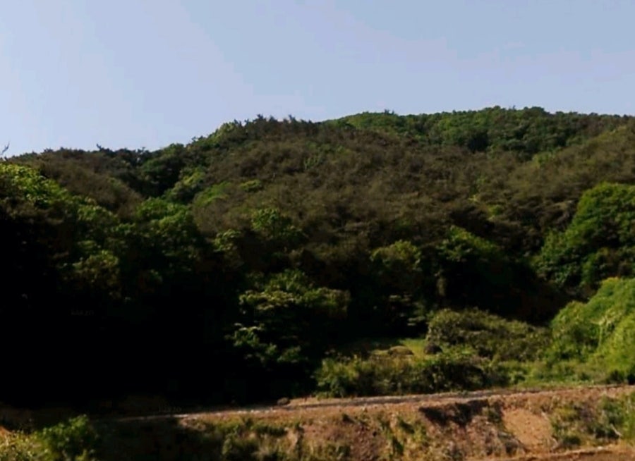 건무산 사진 6