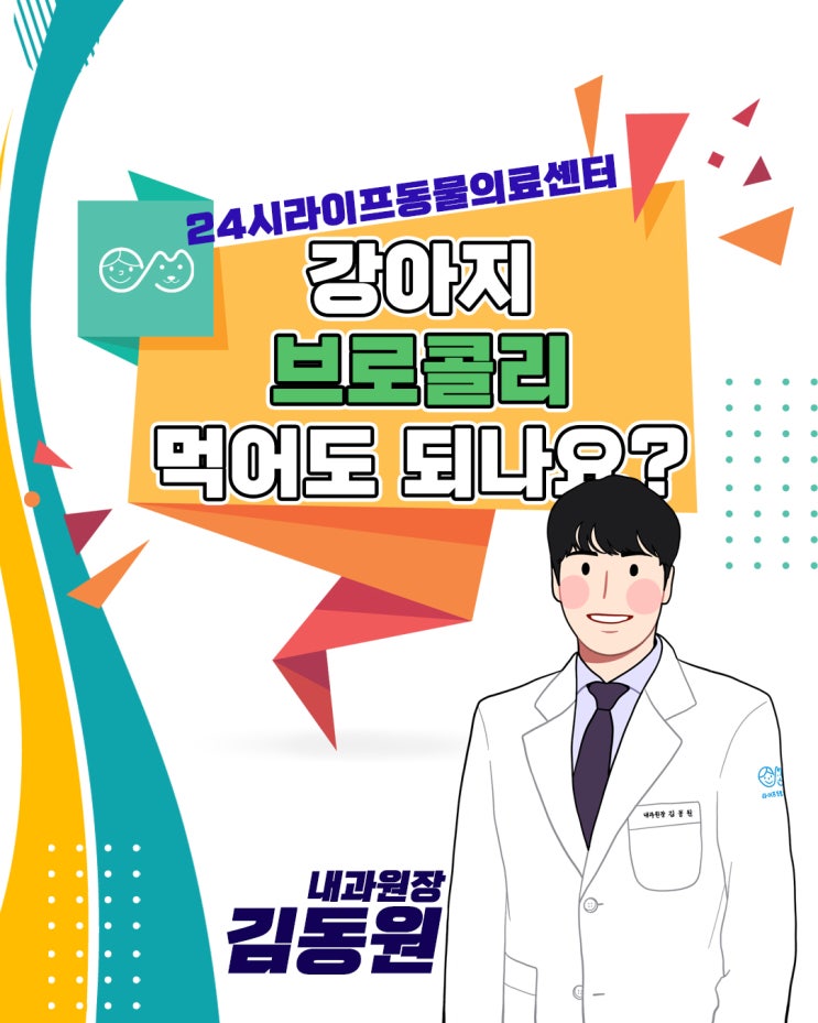 대구동물병원 : 강아지 브로콜리 먹어도 되나요 브로콜리 주의점 대구동물병원 : 강아지 브로콜리 먹어도 되나요 브로콜리 주의점