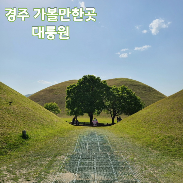  [경주 여행] "대릉원" :: 인스타 포토존, 주차, 입장료, 가족 아이와 가볼만한 곳, 대릉원 피크닉