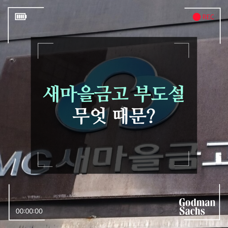  새마을금고 부도설, 왜? (새마을금고 부실,부동산 PF대출, 대구새마을금고 부도 파산위험)