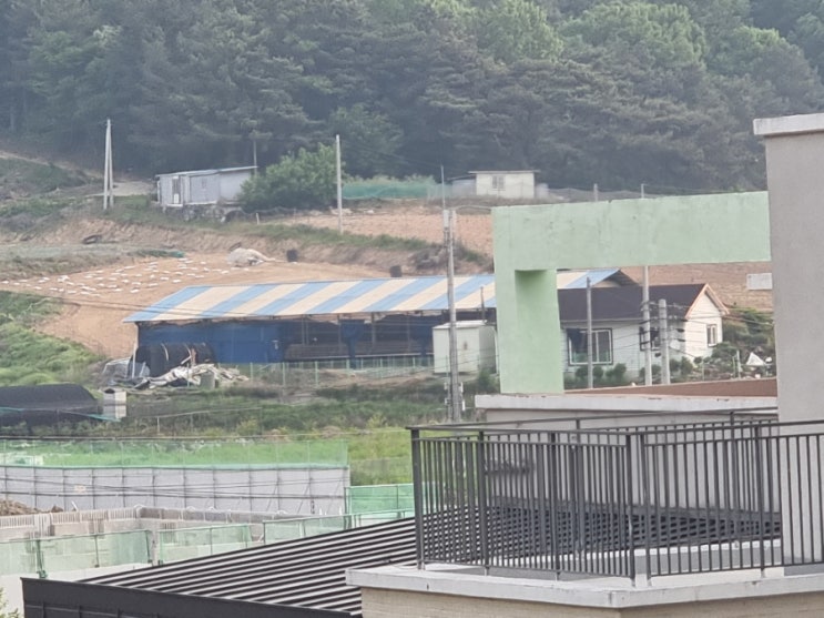  음봉 월랑리 호수공원 이편한세상 아파트 시공 예정현장 공사중