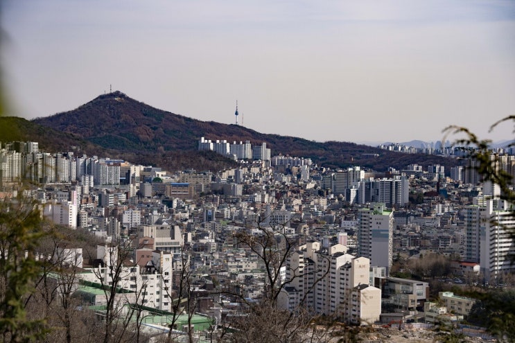 서울 공시지가 5.56%↓⋯은평구에서 지가 높은 곳은?
