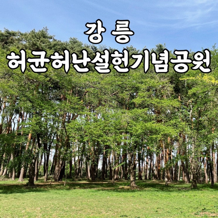  강릉여행 허균허난설헌 기념공원 산책하기 좋은 소나무숲 강릉여행코스