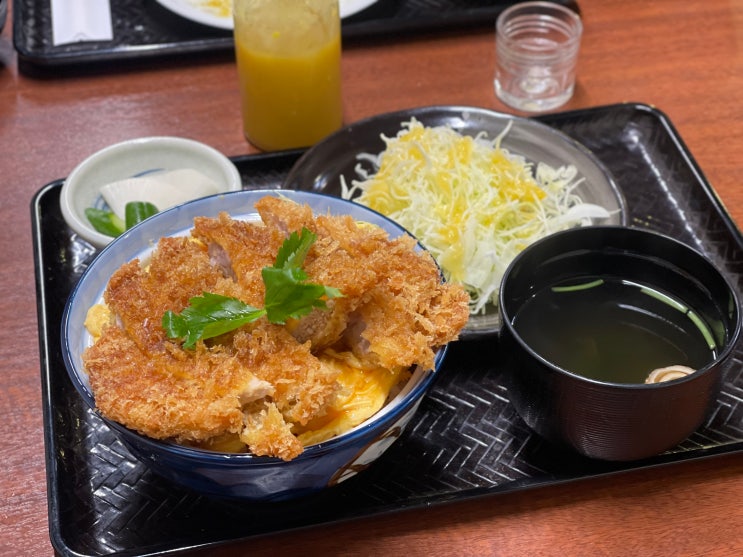 [일본 후쿠오카] 텐진 맛집추천 바삭한 가츠동이 맛있는 돈카츠 와카바 별관