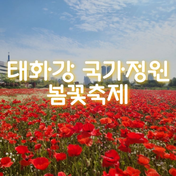 태화강 국가정원 봄꽃축제 만남의 광장에서 만나요.