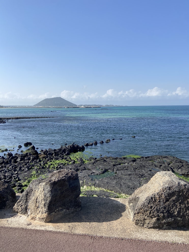  아빠 환갑기념 3박 4일 가족여행 in jeju