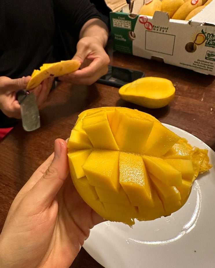  망고고르는 법/ 밴쿠버망고/ 크고 달달한 망고/ 밴쿠버 한인마트 /밴쿠버 한인마트 금 토 일 주말 세일