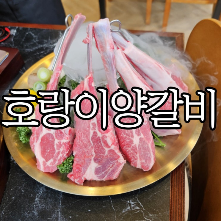  창원 양고기맛집 구이, 수육 둘 다 너무 맛있던 상남동 호랑이양갈비