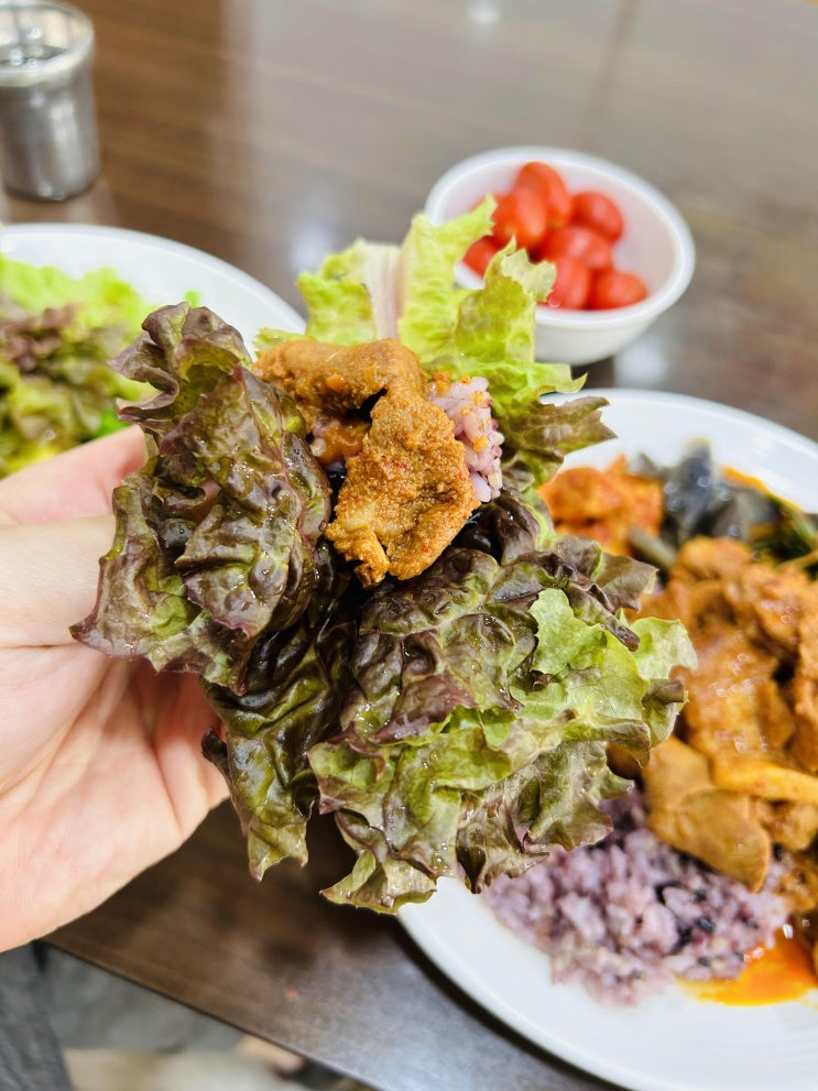  강서 목동화곡 한식뷔페 백반맛집추천 가정식뷔페