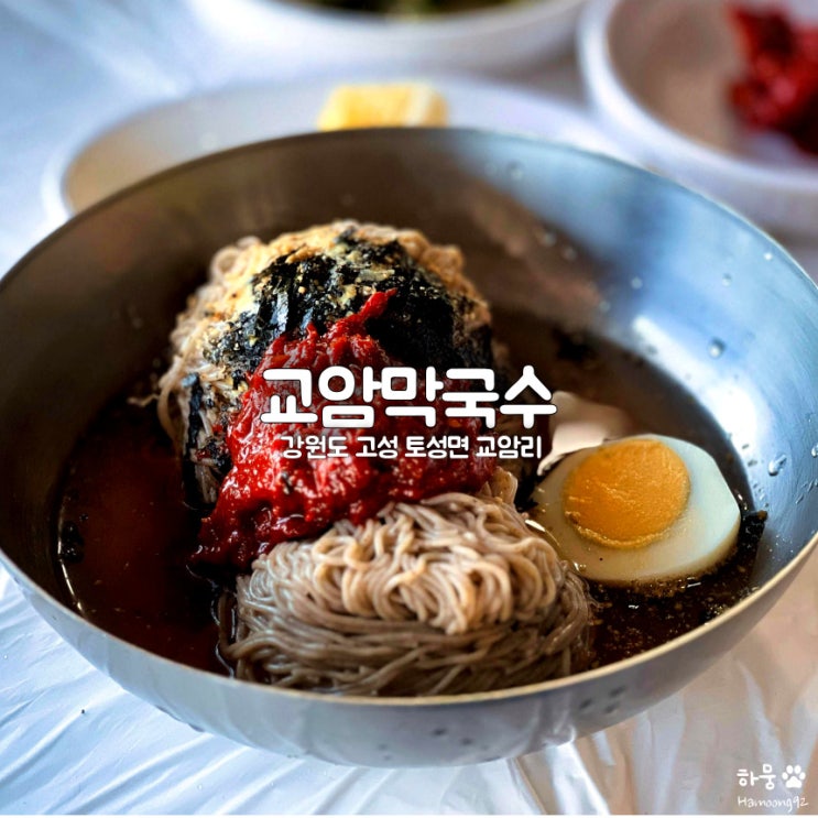  고성 애견동반 맛집 백촌막국수 보다 교암막국수
