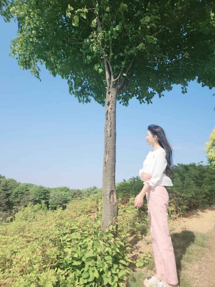  [충남당진] 삼선산수목원 무료 산책 코스로 좋은, 아이들이 좋아하는 숲 놀이터 물 놀이터 후기