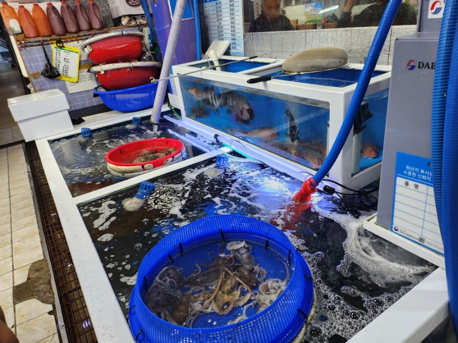 Eonyangsusanhoetjip photo 3