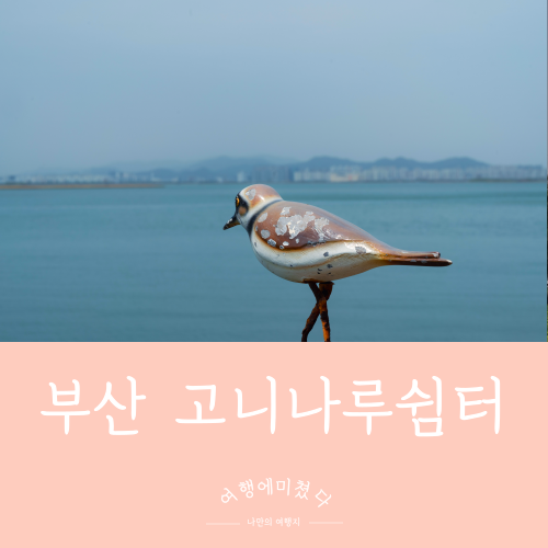  고니나루쉼터 부산 사하구 다대동 낙동강 자전거라이딩 유채꽃산책로