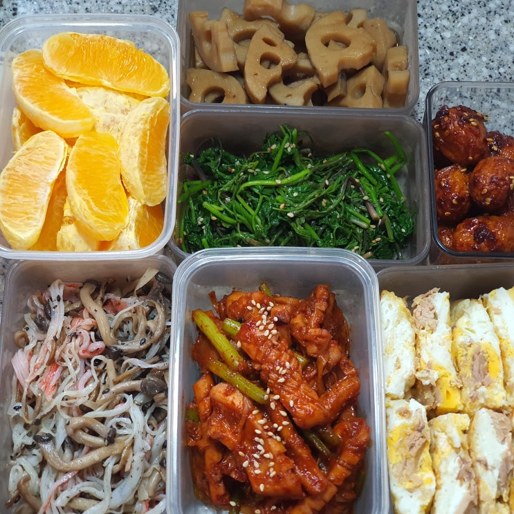  5월 남편도시락반찬(일주일밑반찬)
