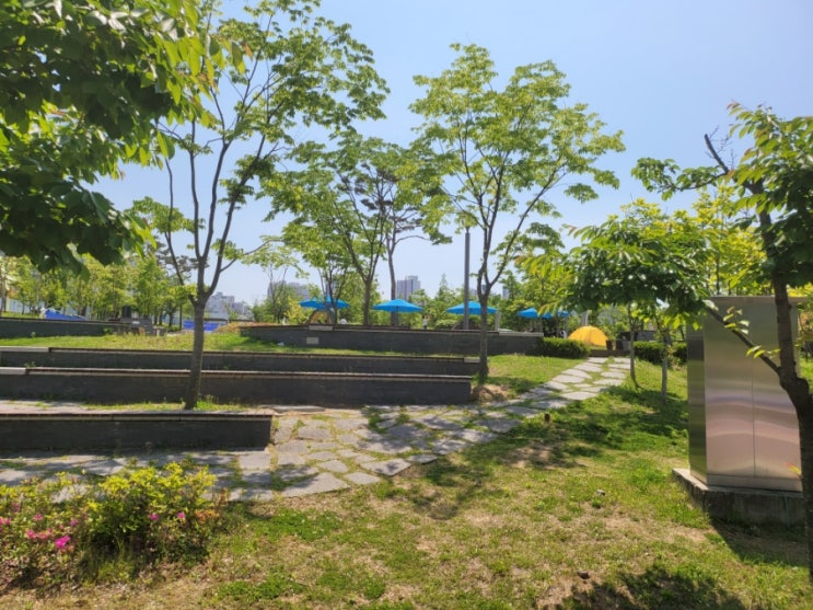  금요일 분할매수로 자잘 자잘하게 모아갈만했던 미국 시총 상위 종목 -알파벳,펩시코, 브로드컴  / 코인시장에서 살만한종목 -크로노스  비트코인 이더리움 폴리곤 리플