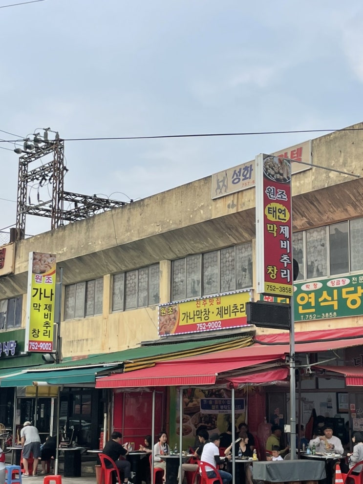  진주 하대동 태연식당 노포 로컬 막창집