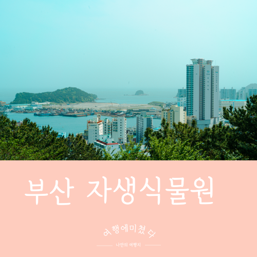  아미산일출전망대 아미산자생식물원 부산 사하구 다대동 전망대 다대포항일출명소