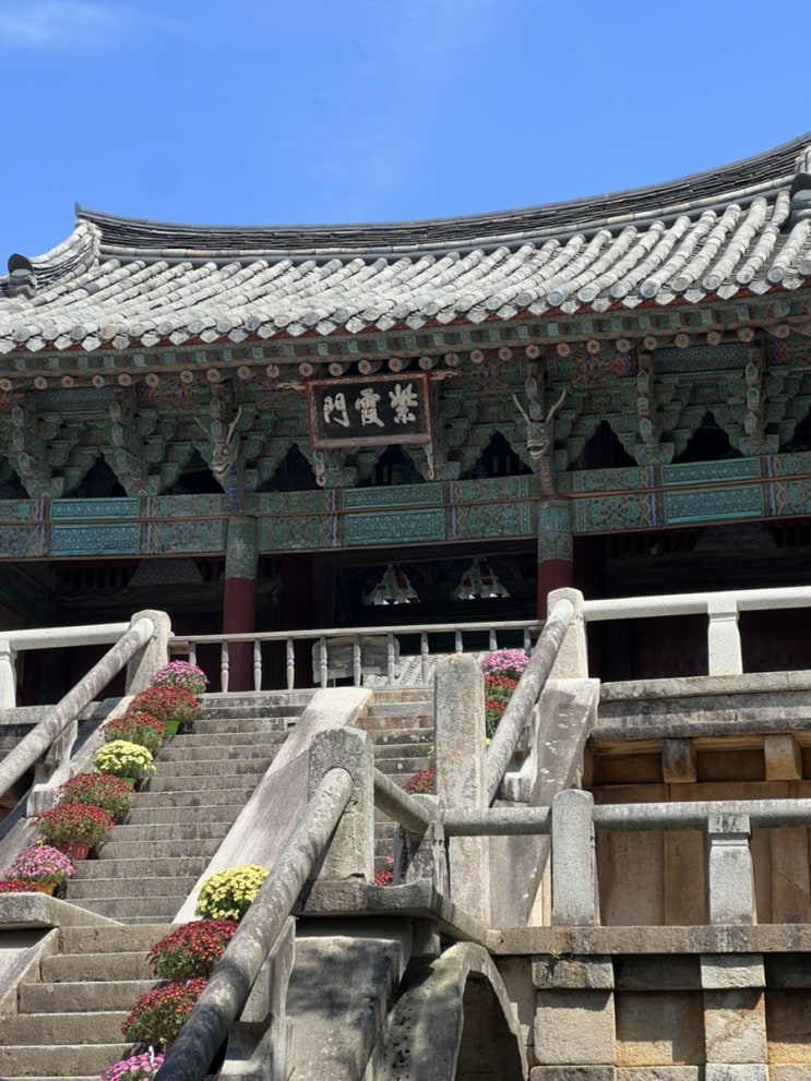  경주 여행 I 이제 입장료 무료된 불국사 (입장시간, 열린관광 정보)