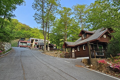 국립황정산자연휴양림캠핑장 이미지