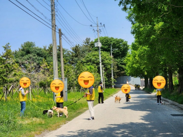  유기견 산책봉사를 하다! (아산시 동물복지지원센터 온봄)