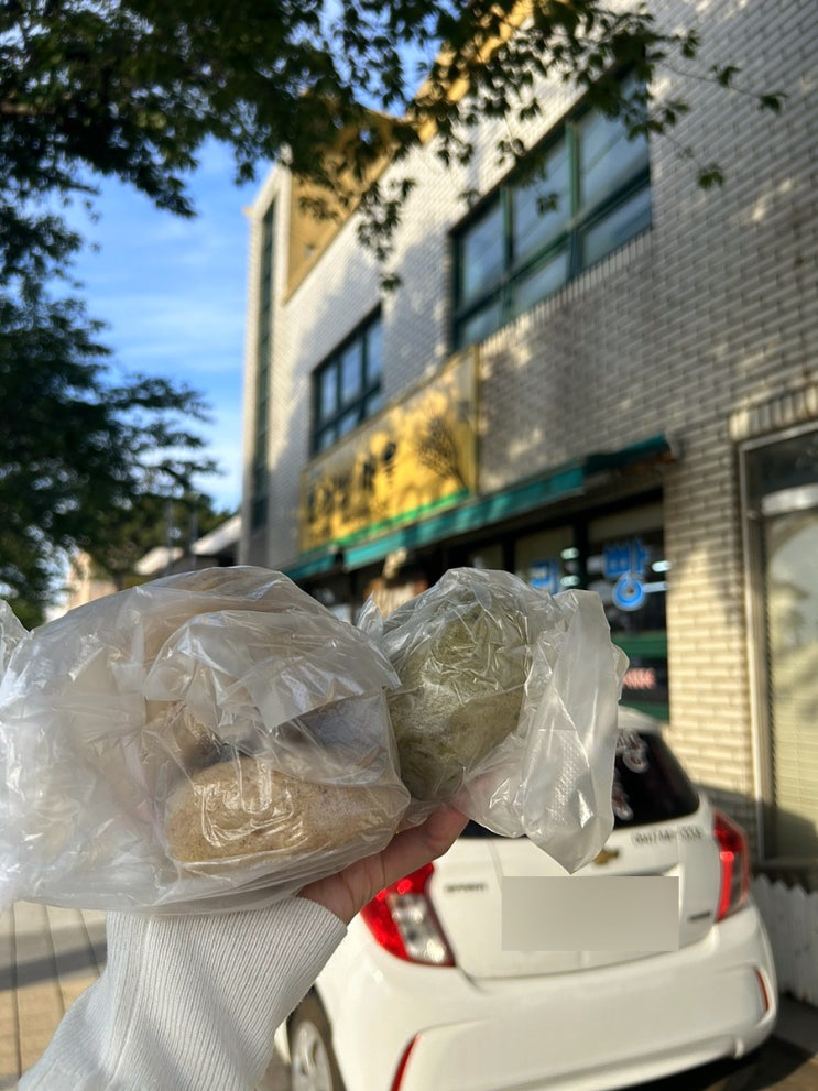  [제주] 보리빵 마을 쌀쑥이, 쑥빵, 보리빵 택배주문 솔직후기 (기념품 추천)