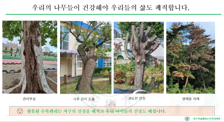  생활권 수목병해충 방제 - 근본이 바뀌어야한다.