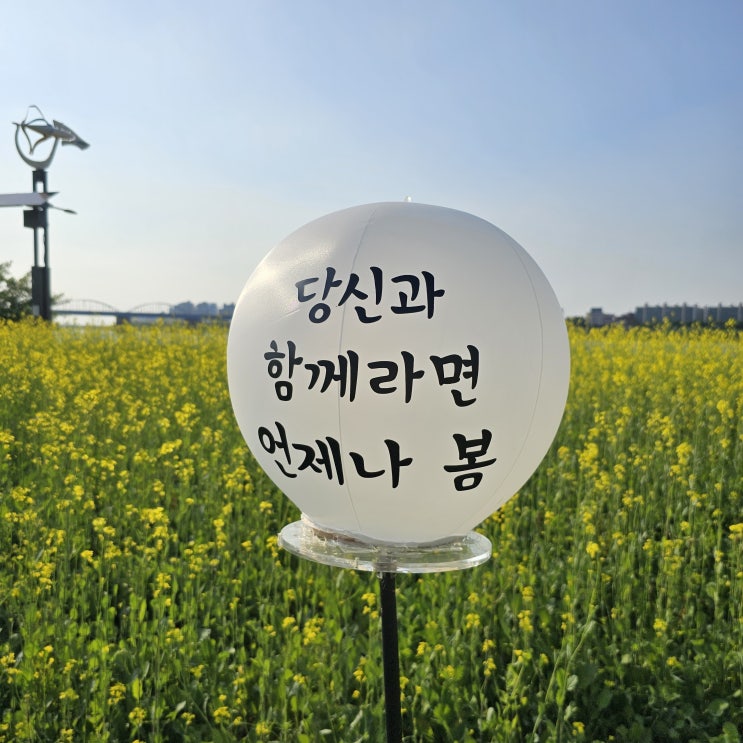 반포한강공원 서래섬 유채꽃 축제 유채찬란 가는법 포토존 서울여행 봄 나들이 가볼만한곳