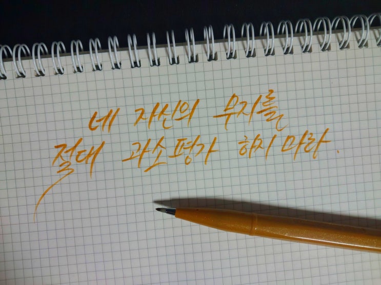네 자신의 무지를 절대 과소평가하지 마라.