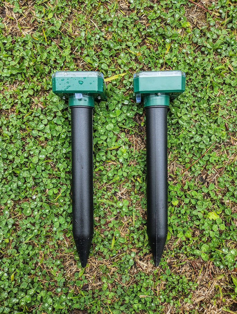 5부 7부 다이아 목걸이 IGI 랩 GIA 엘리스 프로포즈 결혼 기념일 여자 친구 예물, image size:800x1060