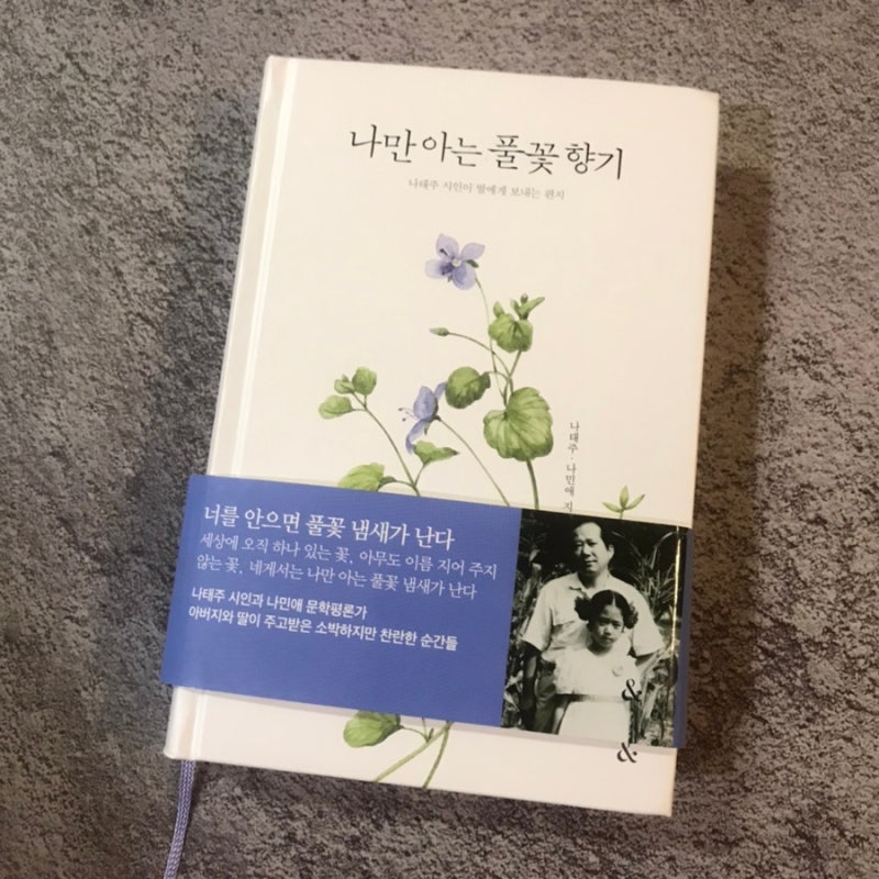 나태주시인 나만 아는 풀꽃 향기 : 네이버 블로그