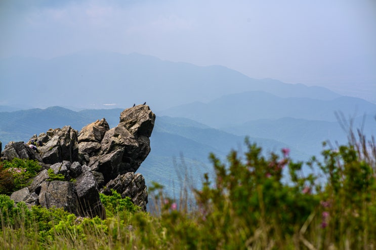  천성산에서