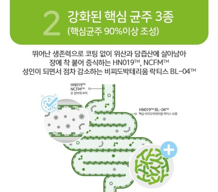  암웨이 유산균 프로바이오틱스