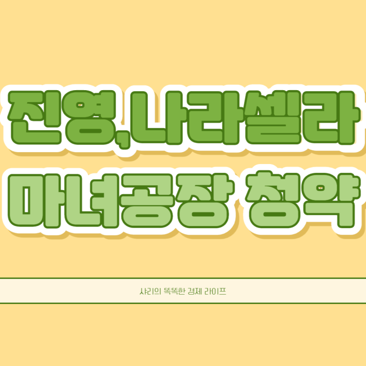 진영 나라셀라 마녀공장 기업실적 및 공모주 청약일정까지 한눈에 정리
