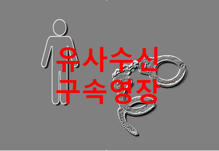  [성공 사례] 유사수신 및 사기 구속영장 기각