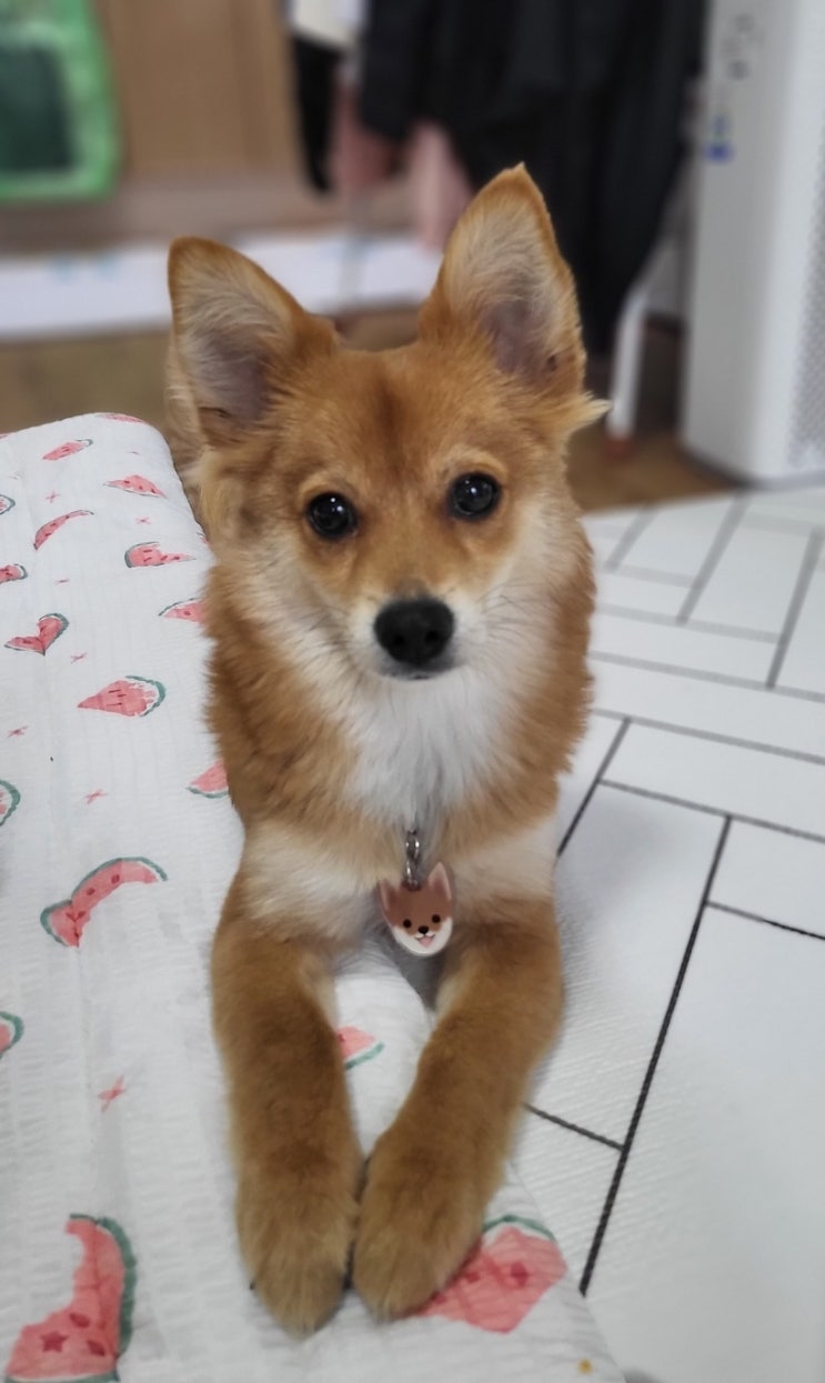  매력쟁이 춘향이~!
