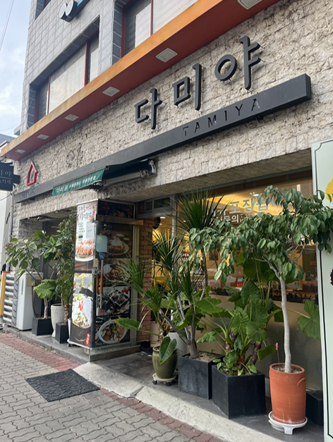  [맛집 추천] 경산 다미야(경산 돈까스 맛집)