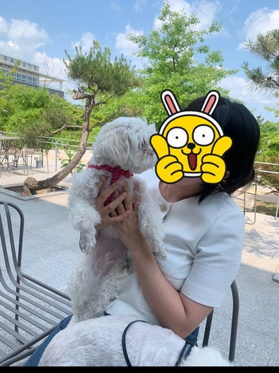 사진 6