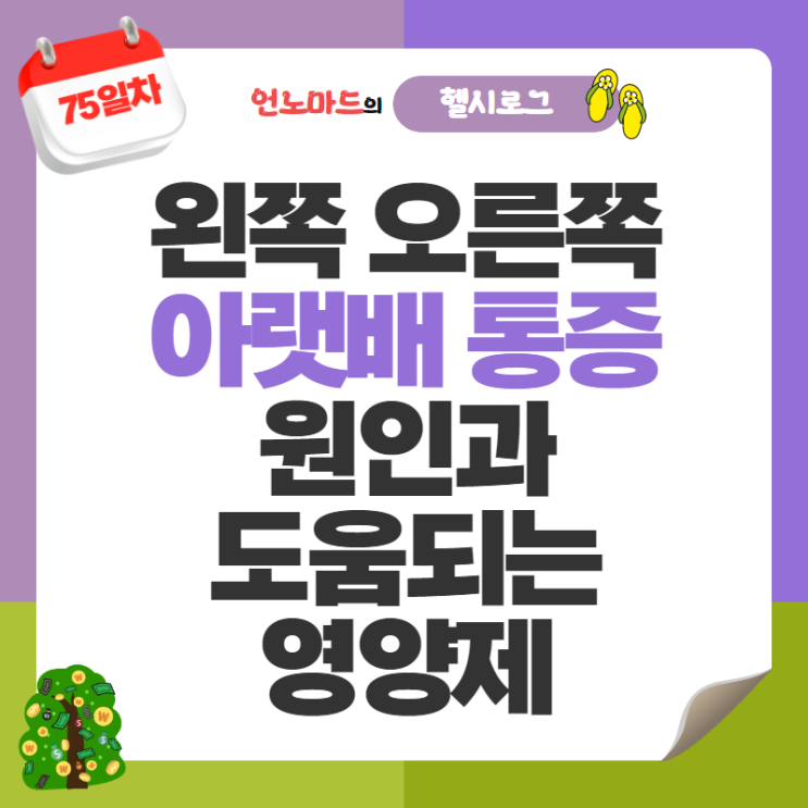  75일차, 왼쪽 또는 오른쪽 아랫배 통증 원인과 도움되는 영양제