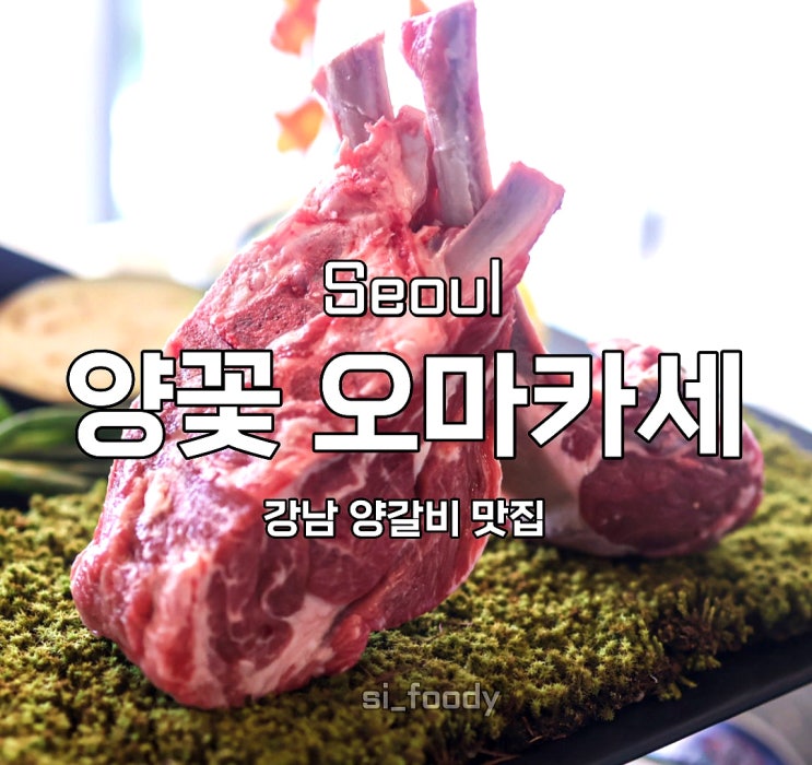  강남 양고기 맛집 양꽃 강남점 논현 양갈비 오마카세 주차