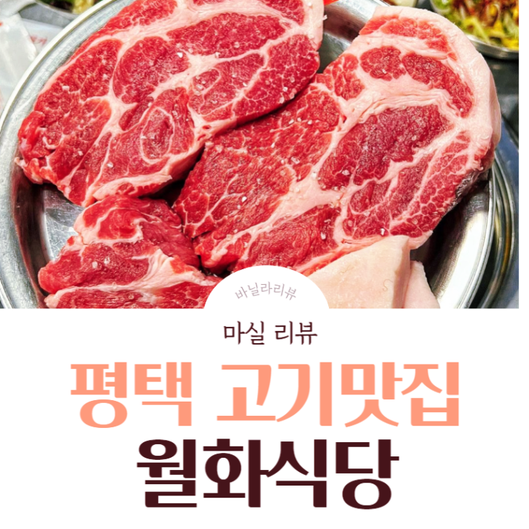 평택 현지인 고기 맛집 5월 꽃축제 후 "월화 식당" 후기