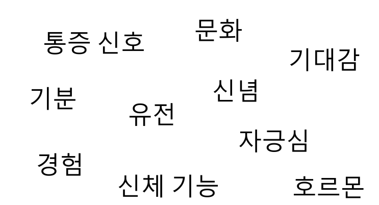  [만성 통증 관리 비법서] 제2편: 통증 이해하기