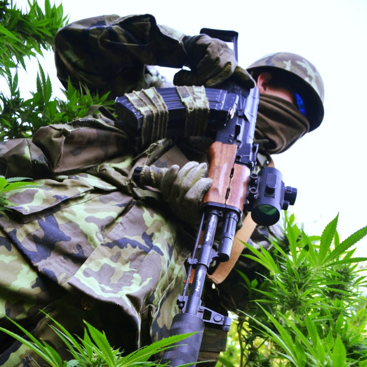 육군부사관 시험, 특전부사관 시험 준비방법 (필기시험/체력시험/면접시험) 육군부사관 시험, 특전부사관 시험 준비방법 (필기시험/체력시험/면접시험)