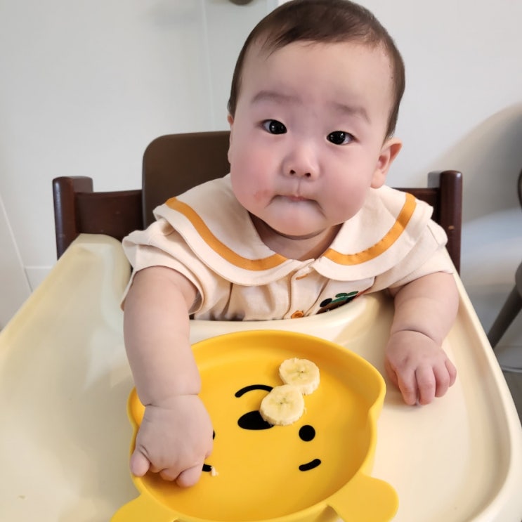  푸우 흡착식판 왜케 귀엽습니까??? 