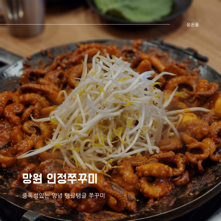  망원 인정쭈꾸미 중독성 있는 양념 탱글탱글한 철판쭈꾸미 내돈내산