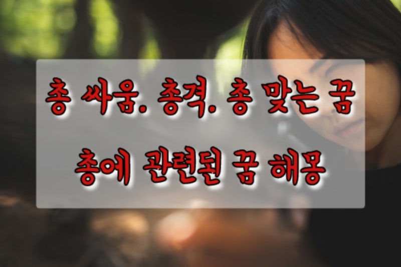 총 맞는 꿈 - 총싸움 총격전 총알에 맞는 꿈 전쟁 강도 꿈해몽