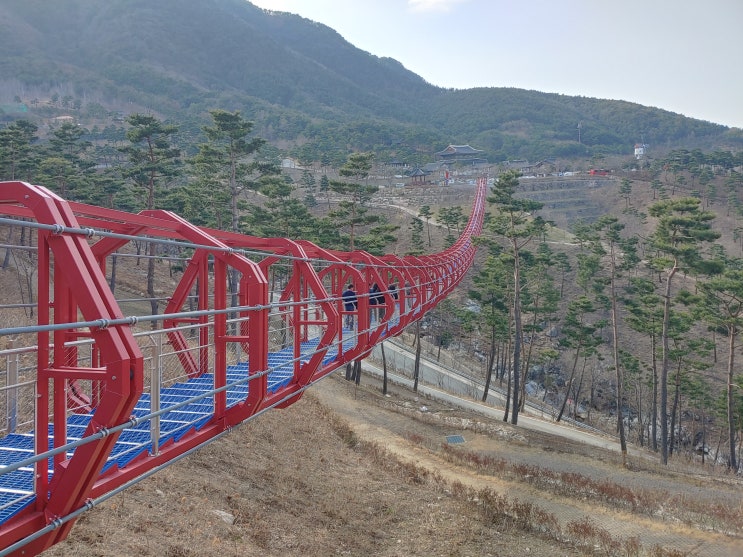 경상남도 산청여행 (산청9경 동의보감촌 4탄 : 산청 무릉교 출렁다리) 경상남도 산청여행 (산청9경 동의보감촌 4탄 : 산청 무릉교 출렁다리)