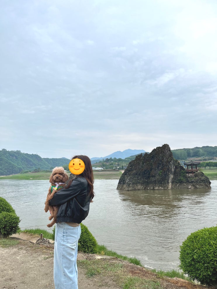  단양여행, feat 반려견