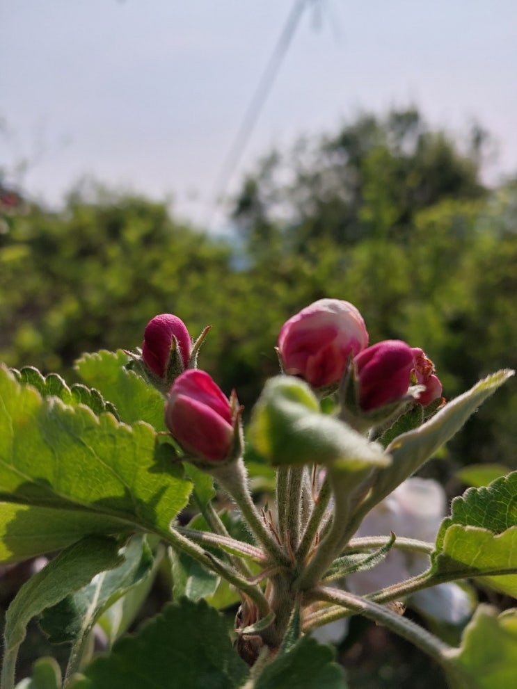  심산행_2023 3차_1일차