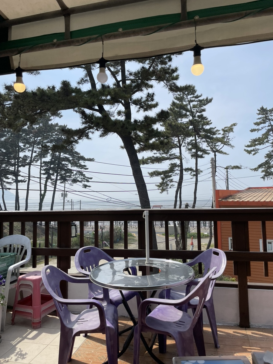 솔밭식당 사진 4